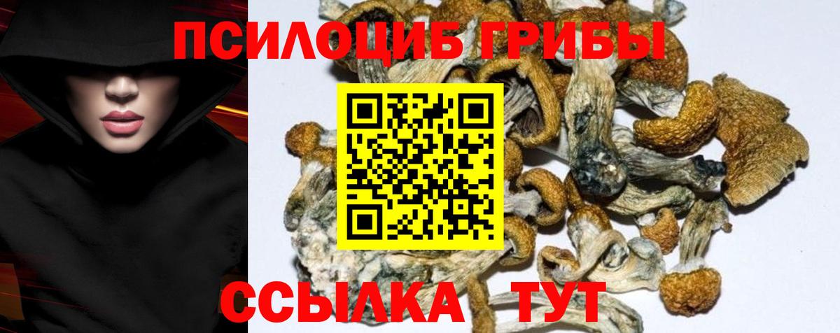 Псилоцибиновые грибы мухоморы  Псилоцибиновые грибы прущие грибы  Красногорск  Вход с VPN 